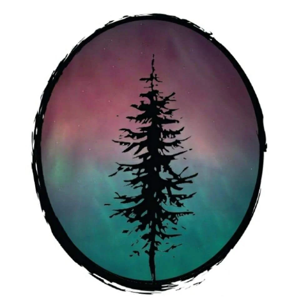 Silhouette of a pine tree against a colorful aurora background