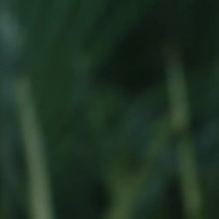 User-uploaded image