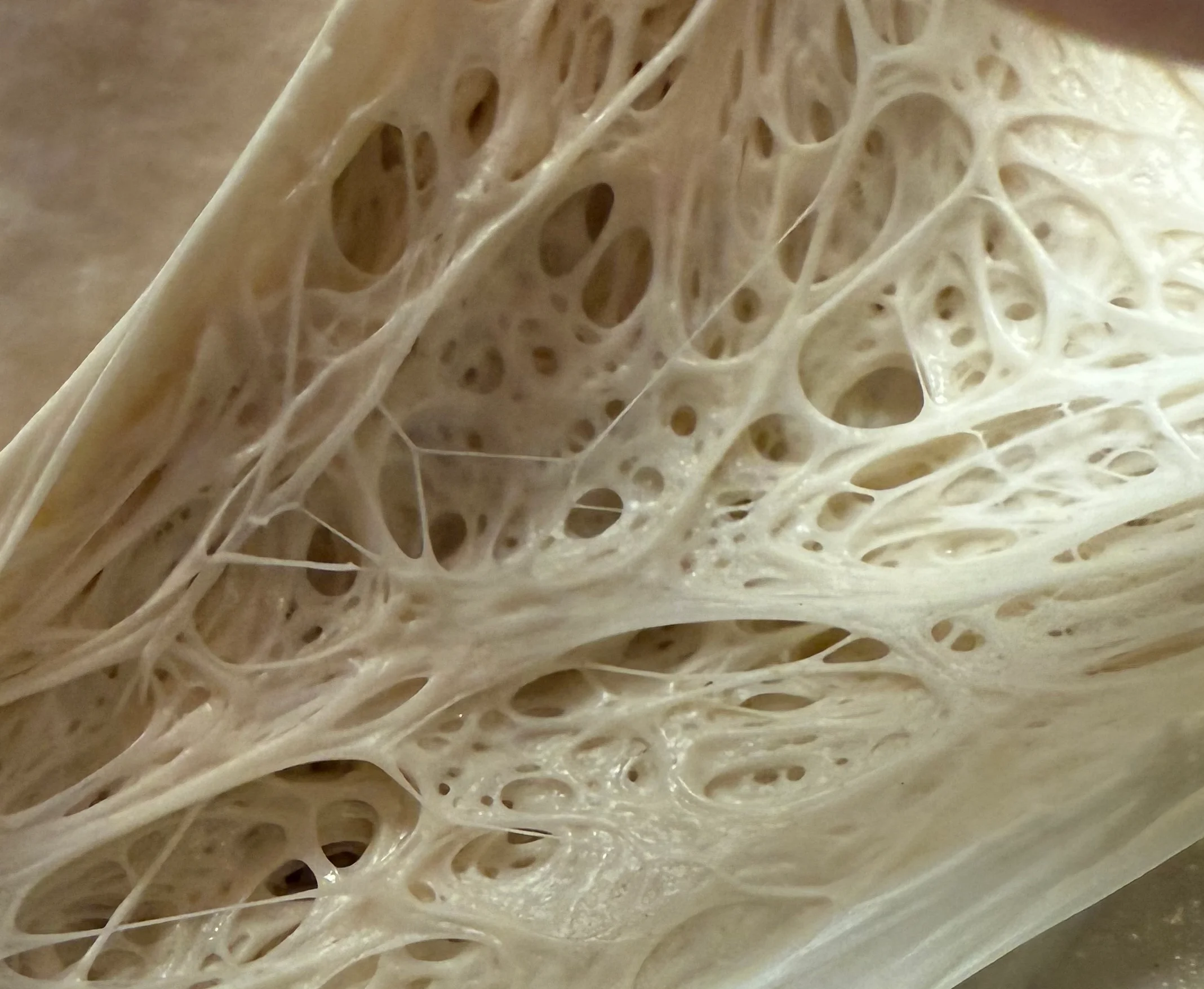 Close-up of dough showing gluten structure and texture