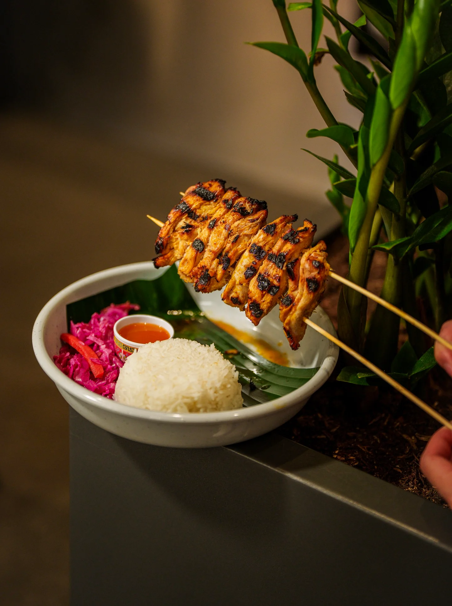 Grilled chicken satay served with rice and dipping sauce