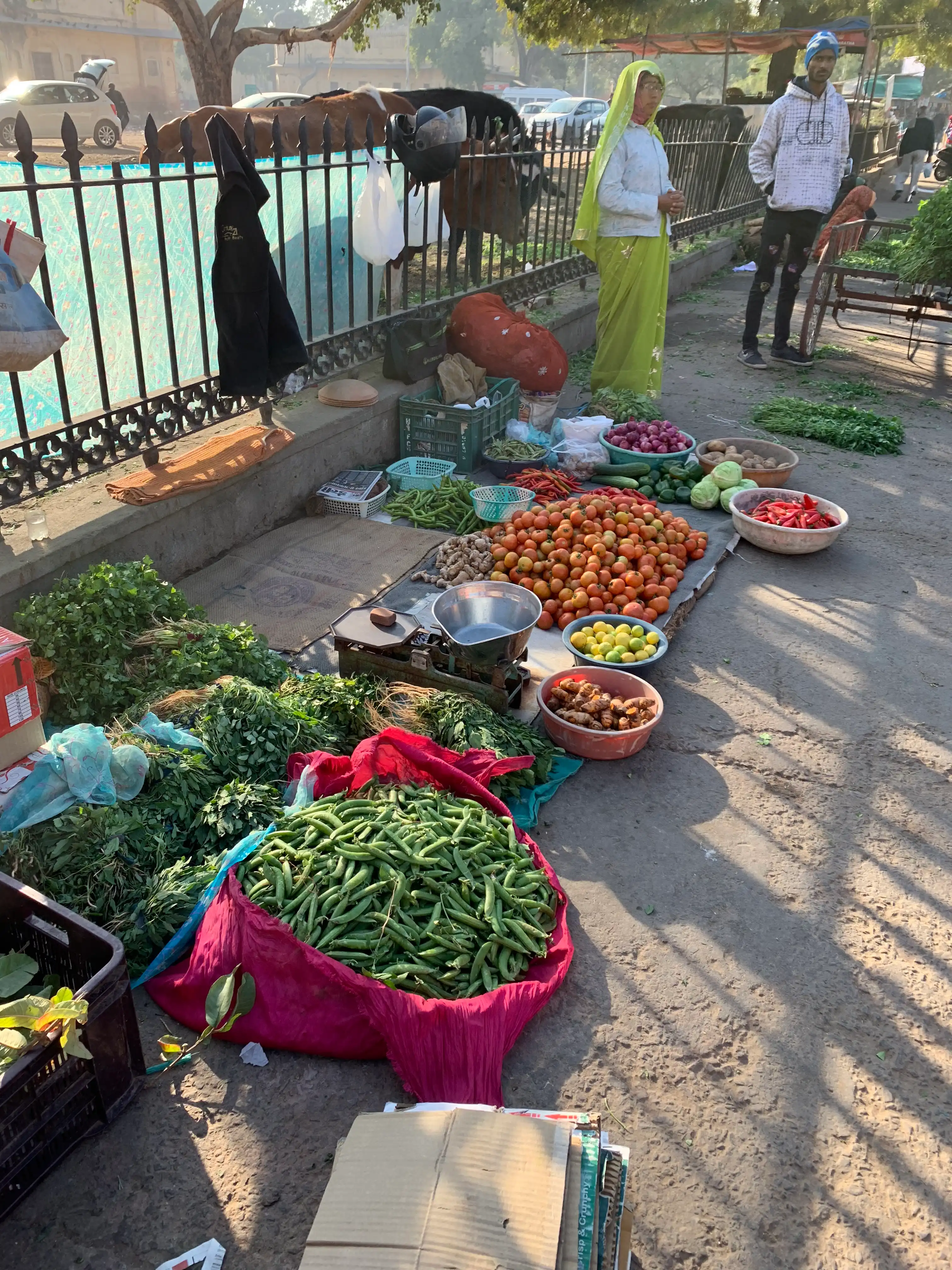 VEG VENDOR