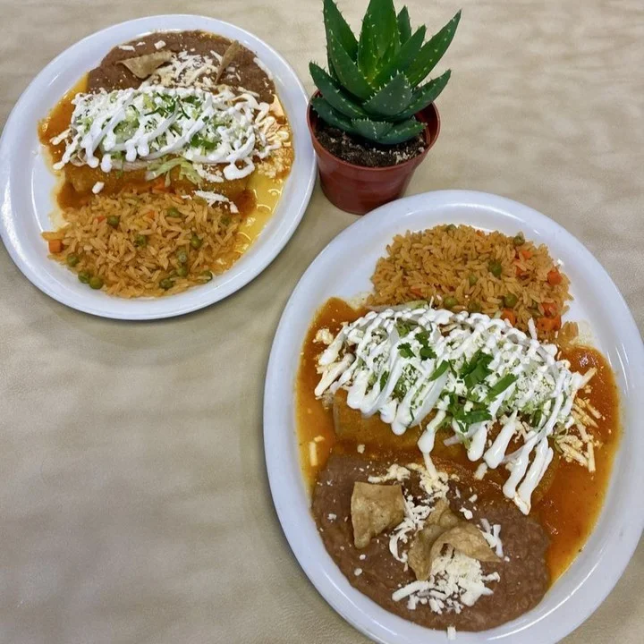 Two plates of Mexican cuisine including enchiladas with sauce, refried beans, rice, and garnishes of cheese and sour cream, accompanied by a small potted plant.