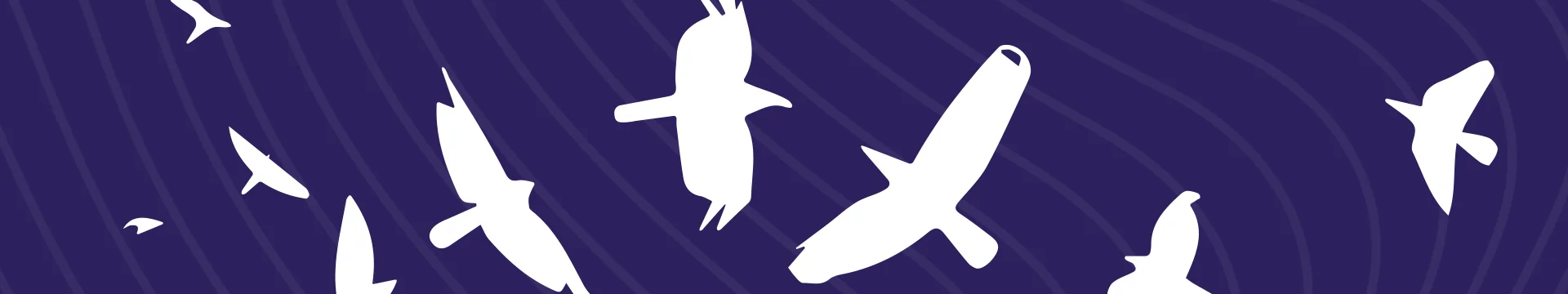 Banner image