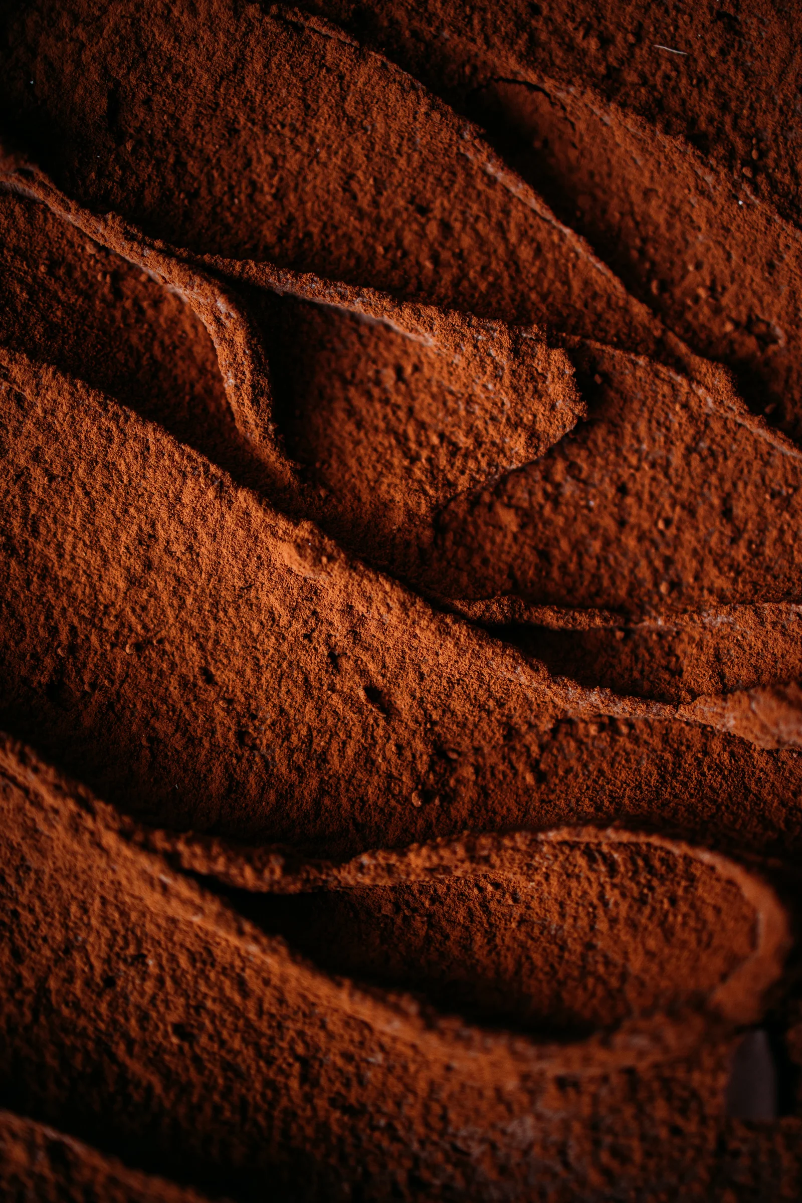 Rich cocoa powder texture for baking and desserts