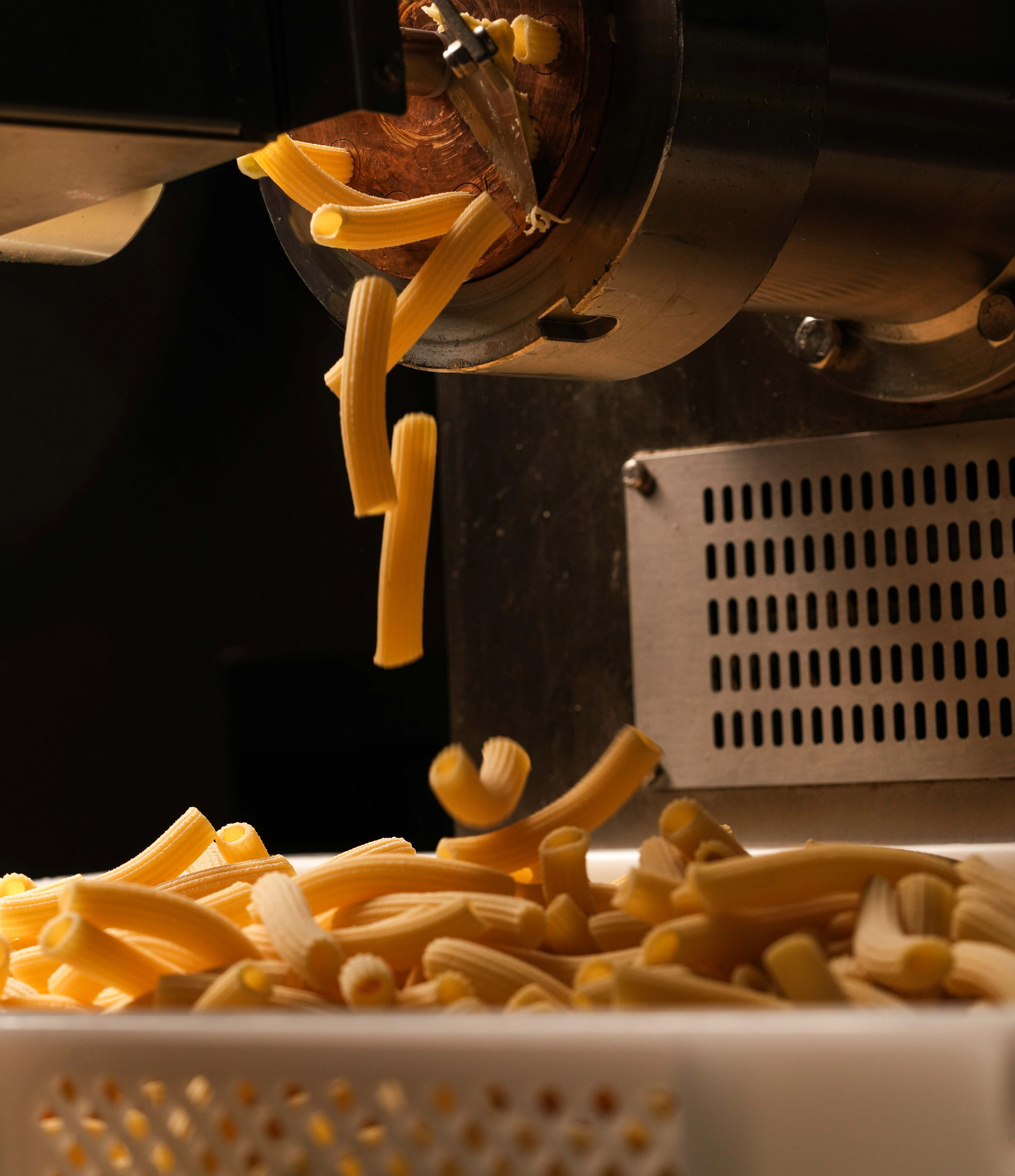Freshly extruded pasta from a pasta machine