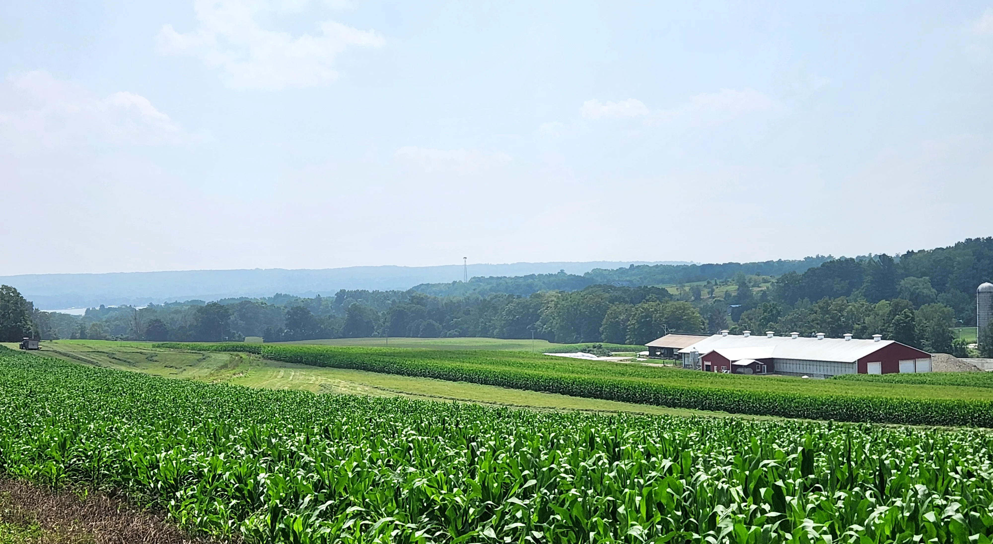 A sign for a family dairy farm, indicating its history since 1836, with a backdrop of farm buildings and trees.