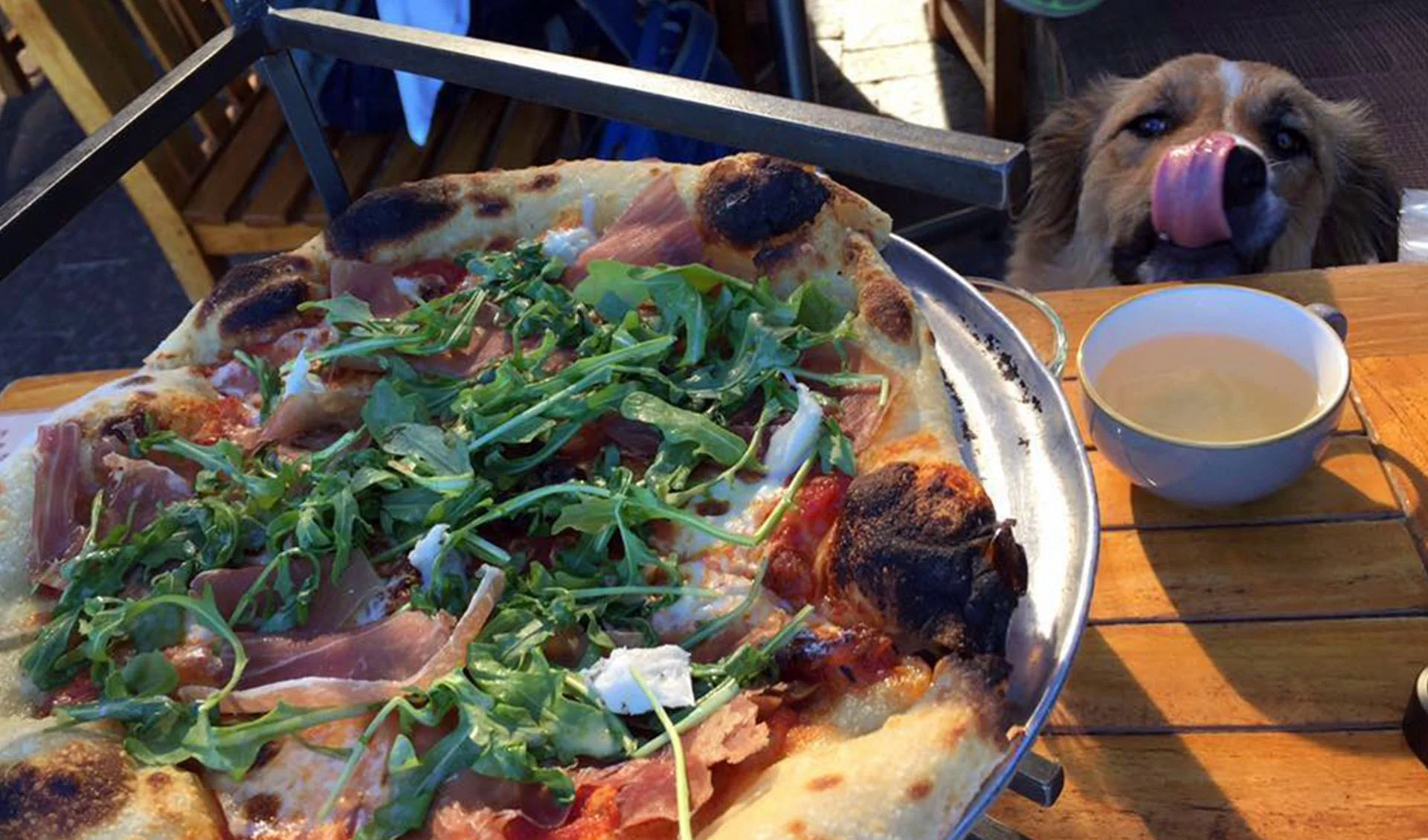 a gorgeous pizza on the table with a dog looking at it