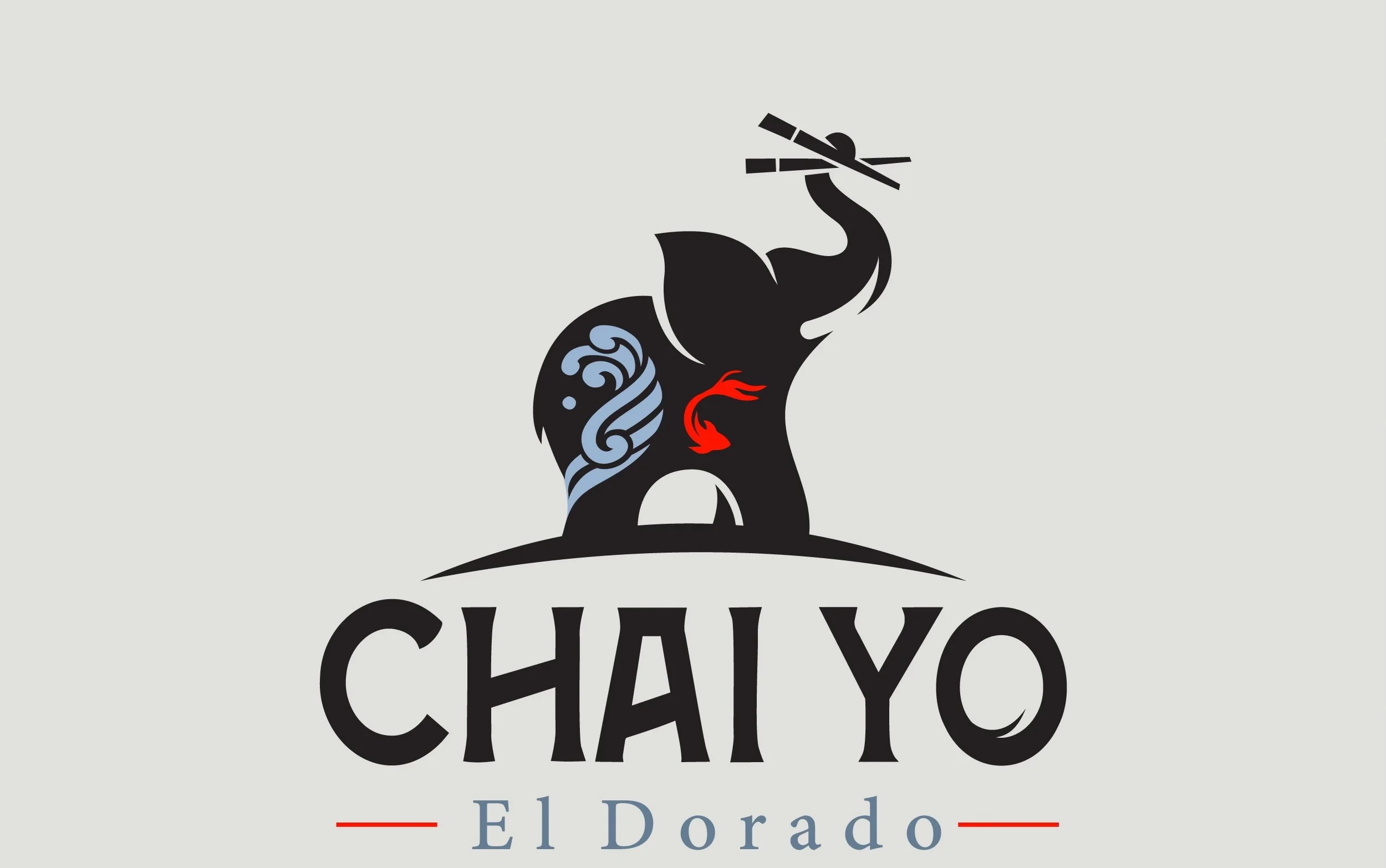 User-uploaded image
