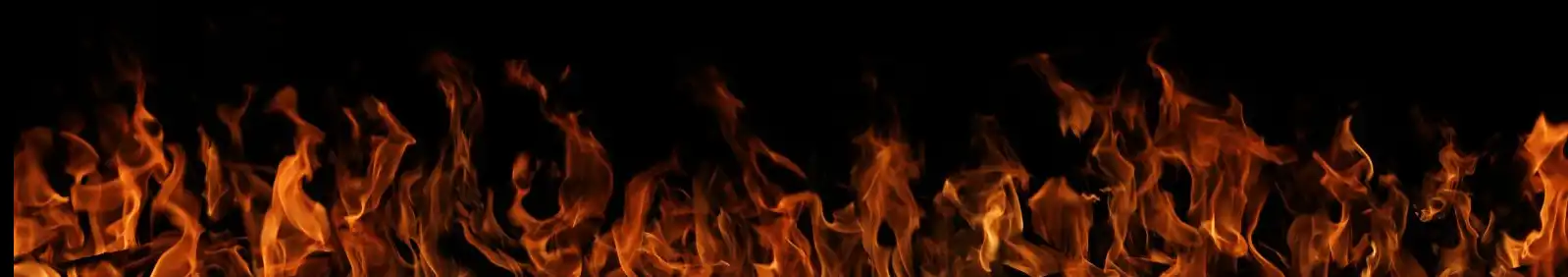Banner image