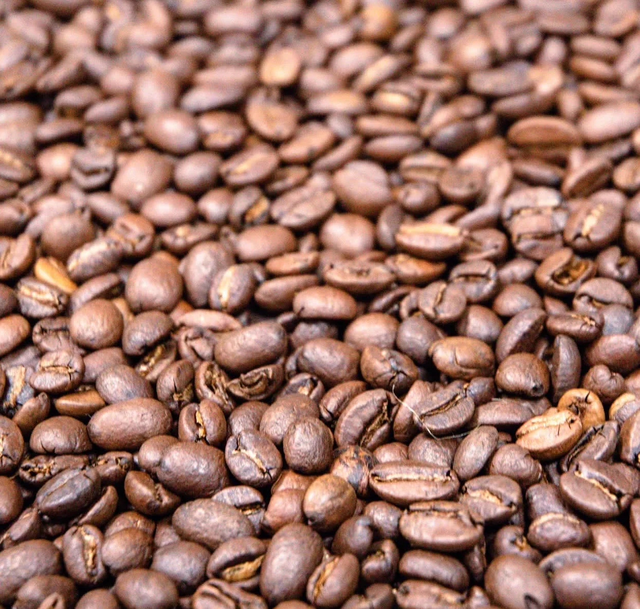 Freshly roasted coffee beans ready for brewing