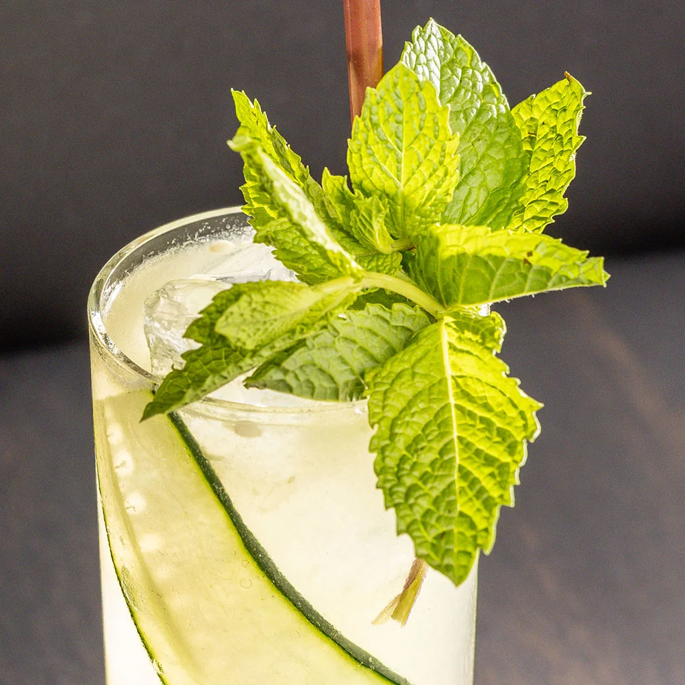 cucumber cocktail