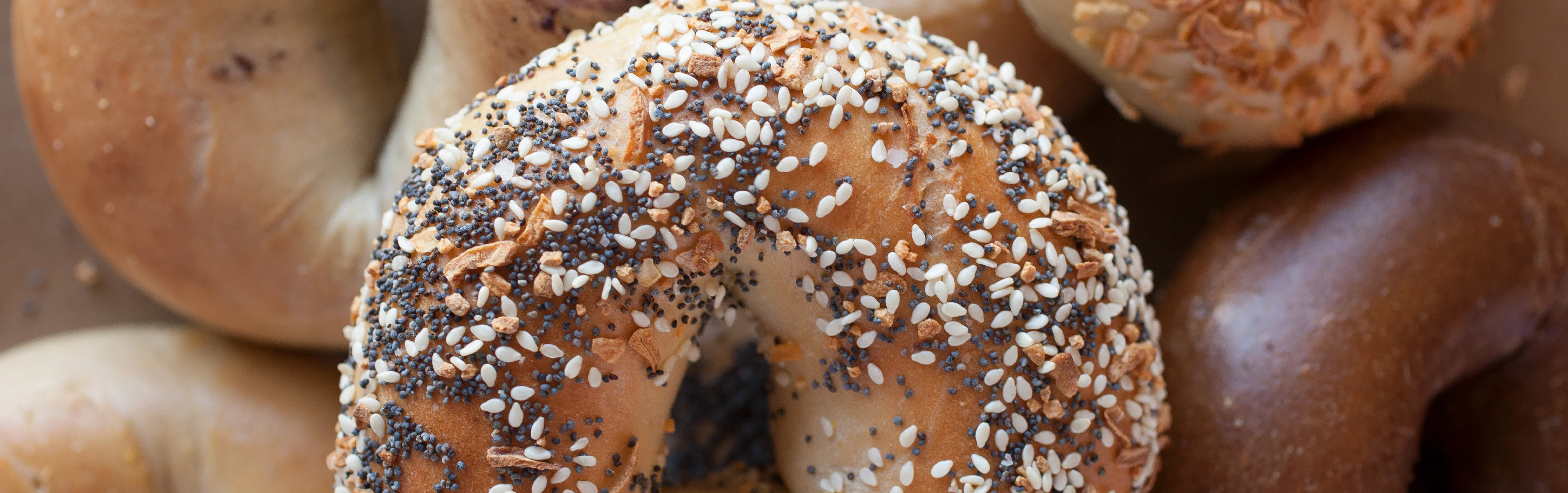 Assorted bagels with toppings in a bakery display