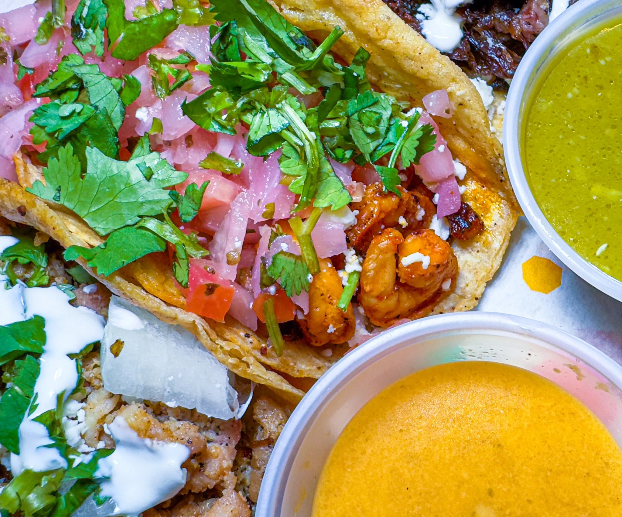 taco maniaa