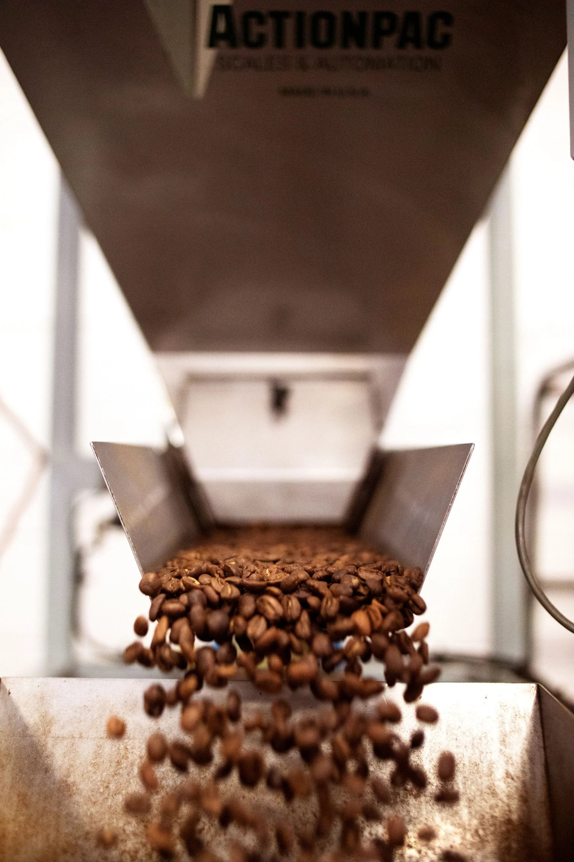 Close-up of roasted coffee beans cascading from a metal chute. The image conveys a sense of freshness and industrial coffee processing.
