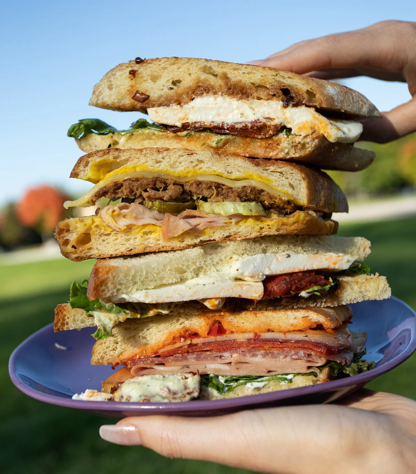Stacked deli sandwiches on a plate in a park