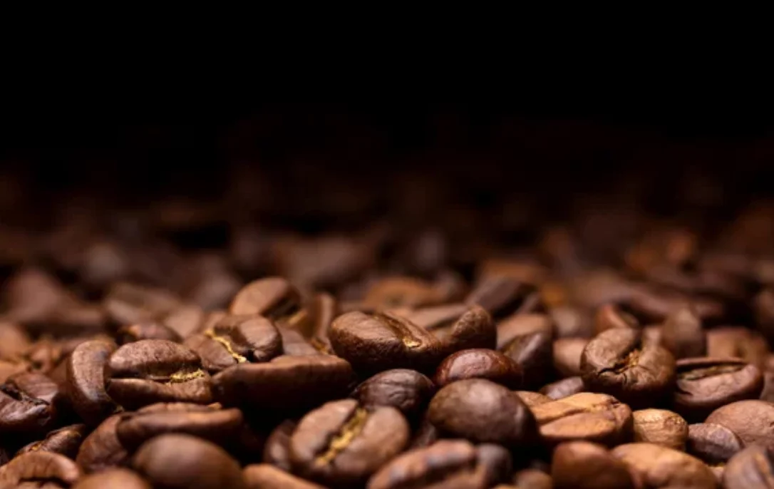 Close-up of roasted coffee beans on a dark background