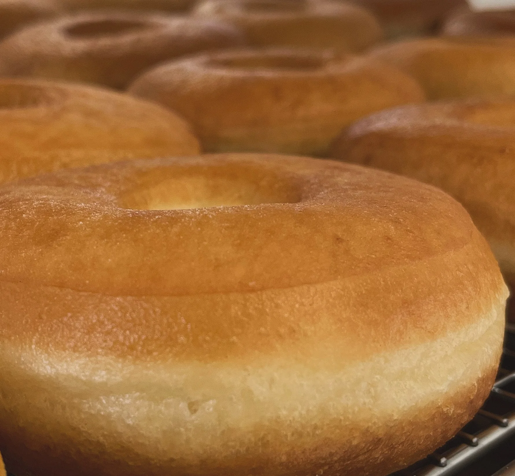 Freshly made classic donuts cooling on a rack