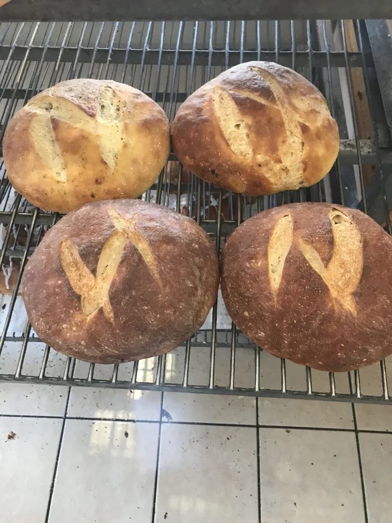 Artisan sourdough bread loaves cooling on a rack