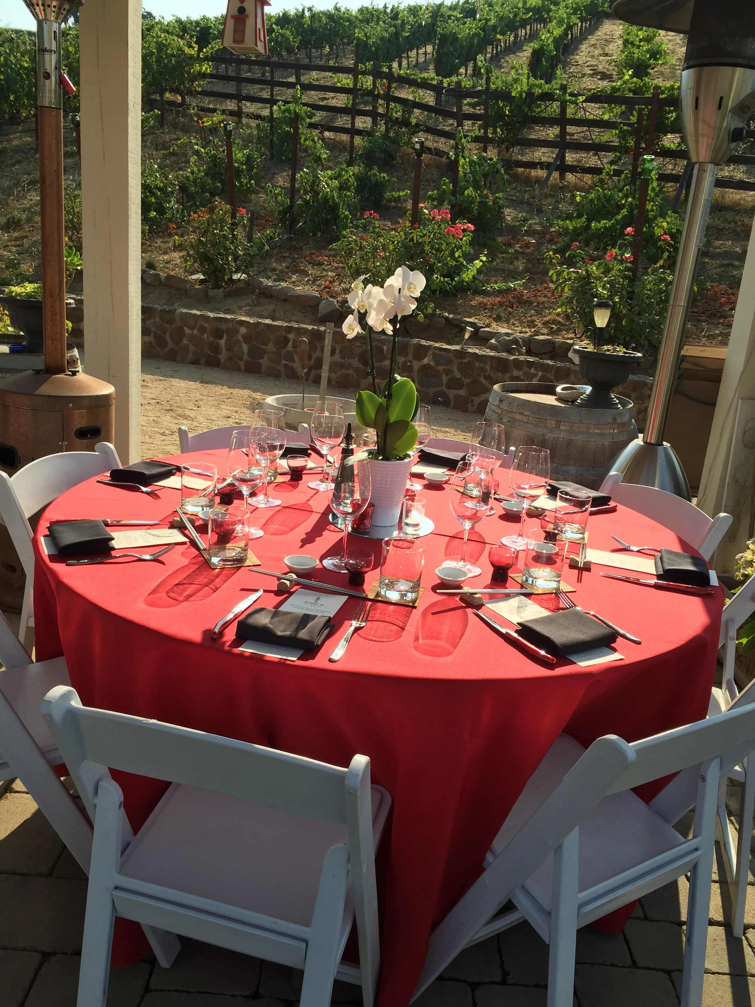 Elegant outdoor dining setup with vineyard view