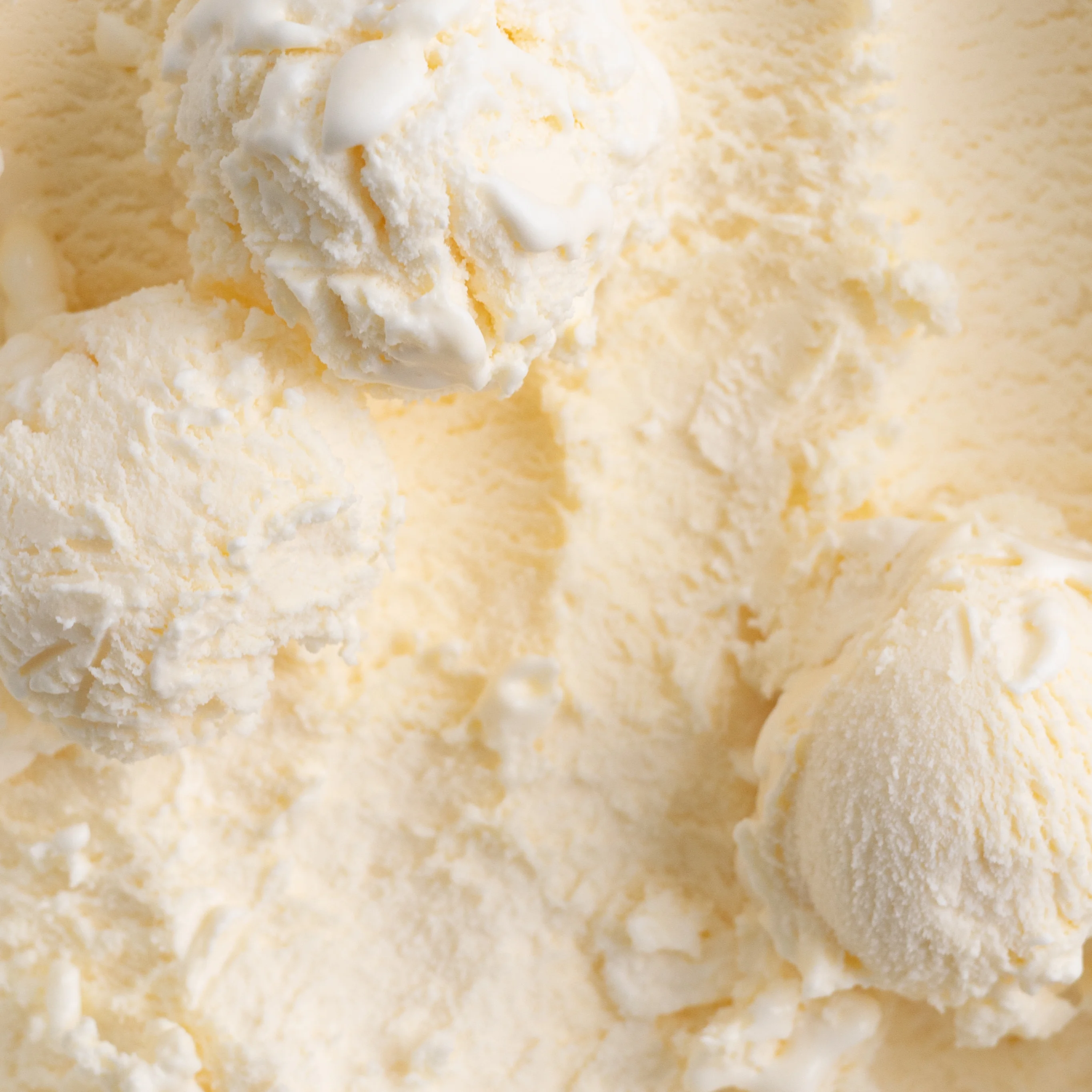 Vanilla Bean Ice Cream