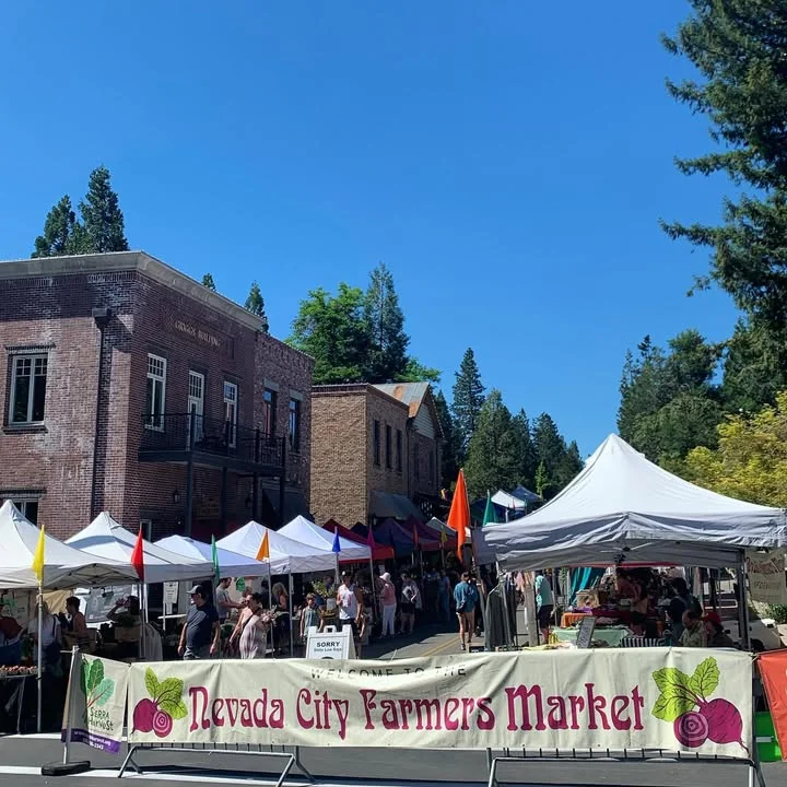 Nevada City Farmers Market with vibrant tents and local vendors