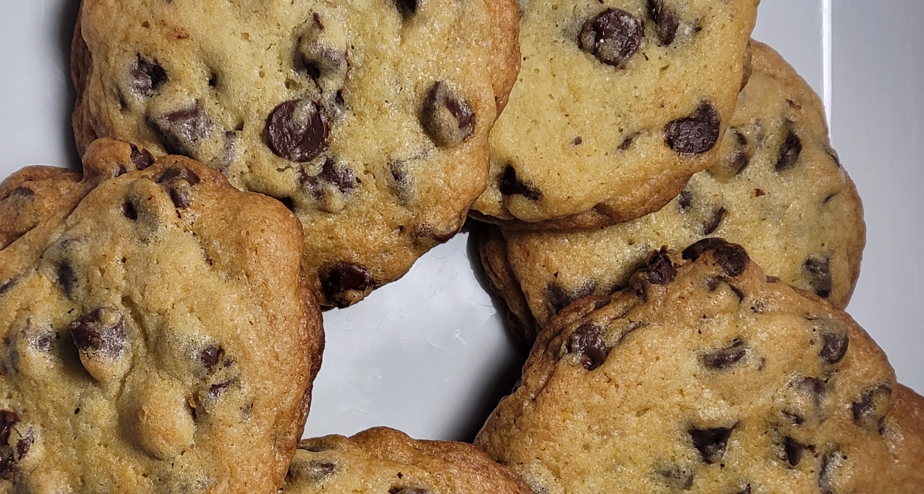 Coco Cocoa Cookie Club