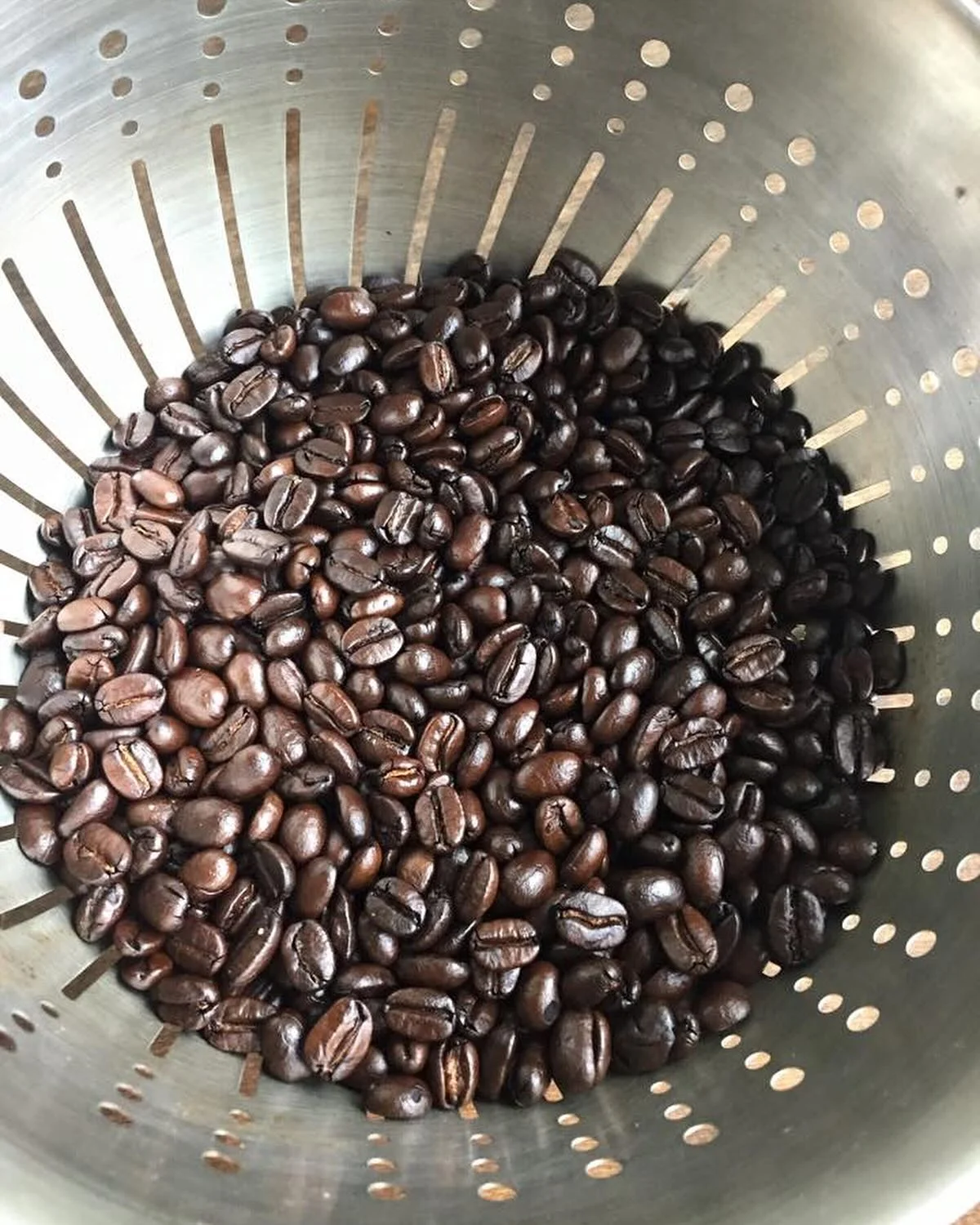 Freshly roasted coffee beans in a colander