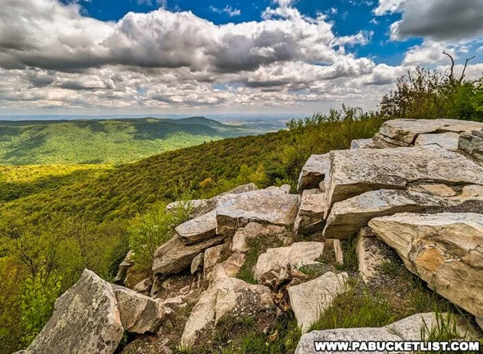 Scenic springtime view of Big Mountain Overlook in Buchanan State Forest, PA.