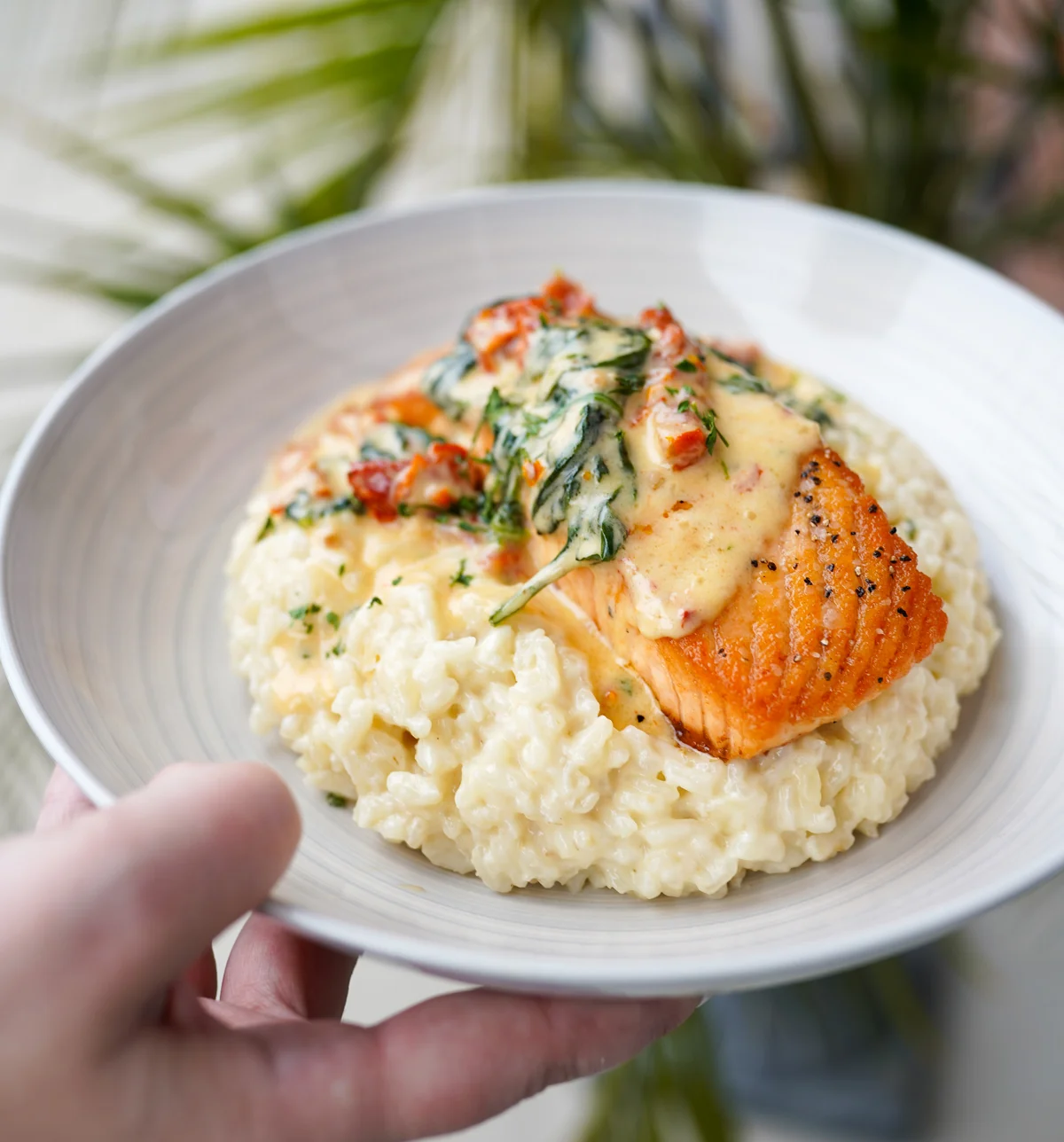 Grilled salmon with creamy risotto and spinach sauce