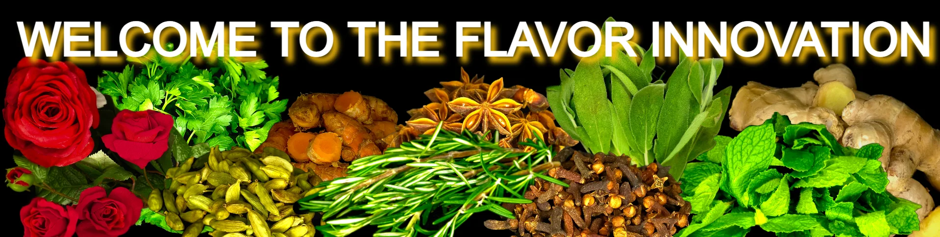 Colorful array of spices and herbs for culinary innovation