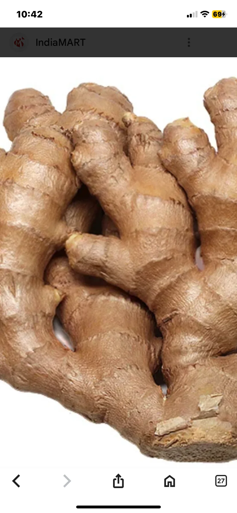 Fresh ginger root for culinary use