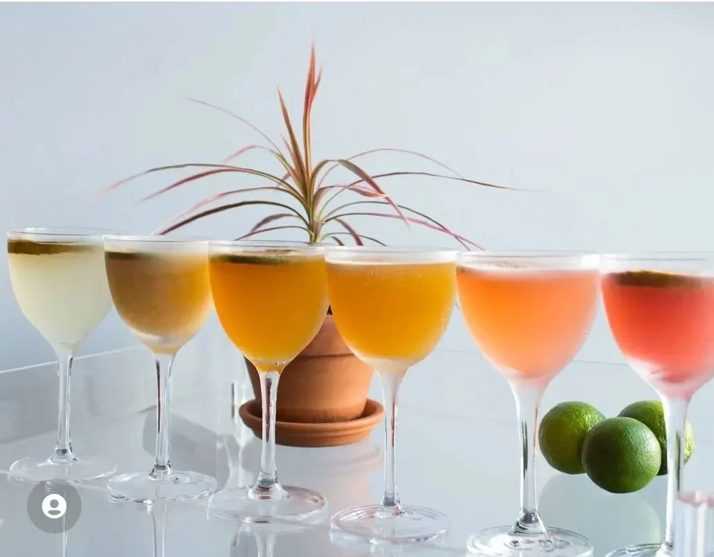 Colorful cocktails arranged elegantly with a decorative plant in the background