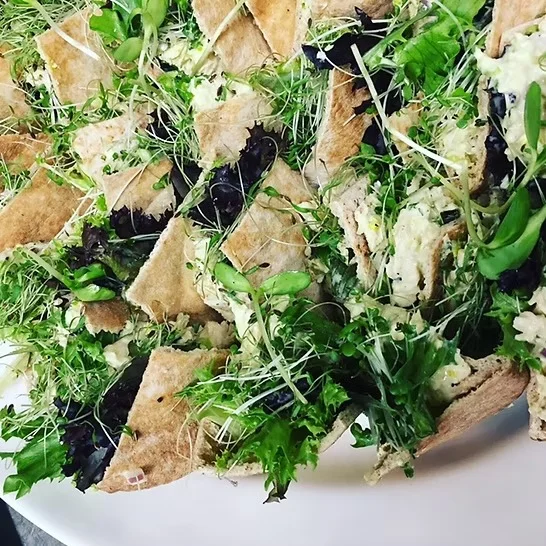 Mediterranean pita salad with fresh greens and herbs