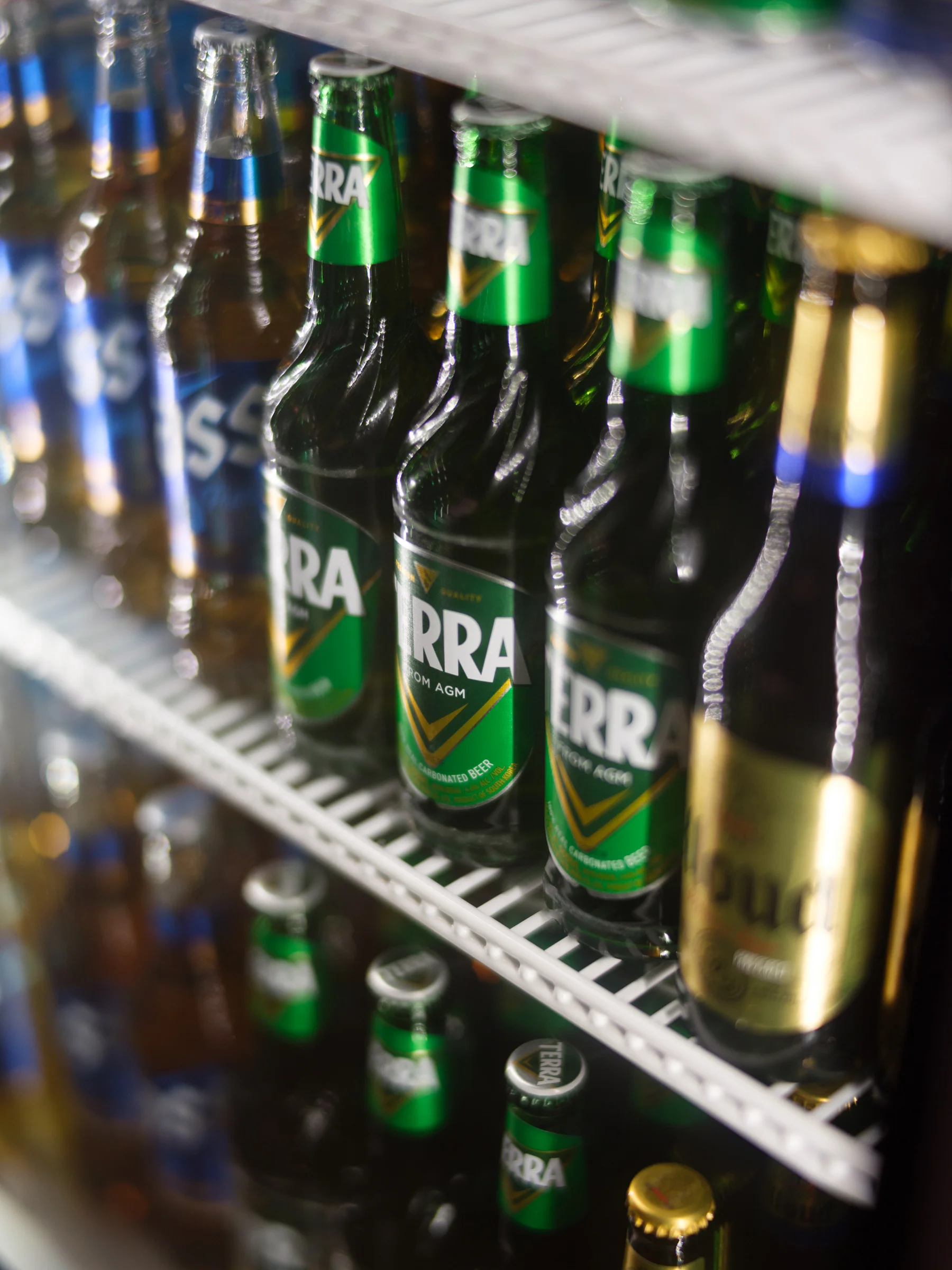 Chilled bottles of beer in a refrigerator display