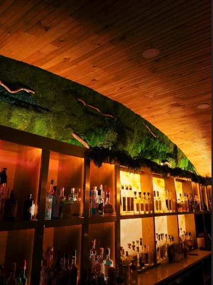 Stylish bar interior with wooden accents and a wide selection of spirits