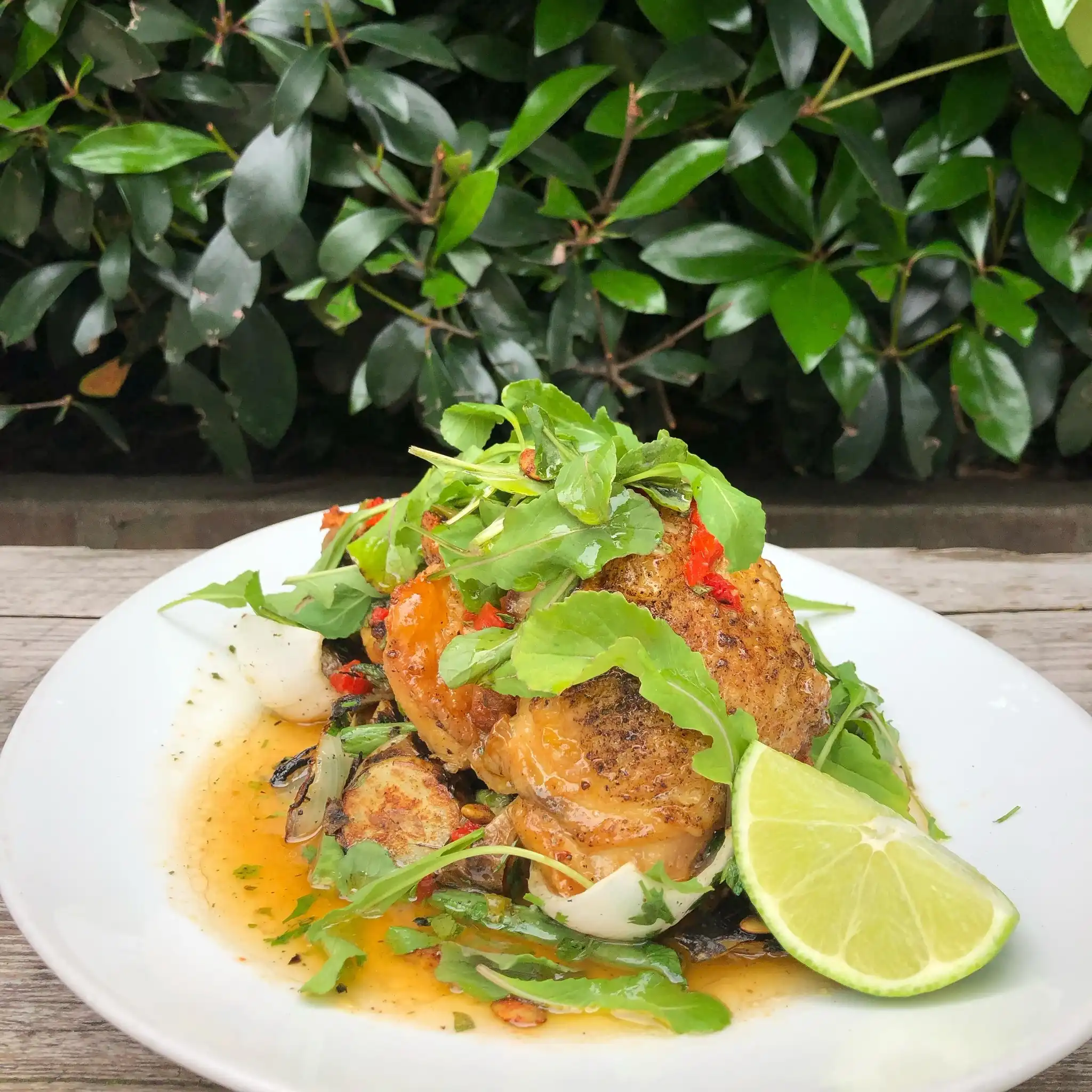 2211 2nd Ave North 4 Flour Tortillas