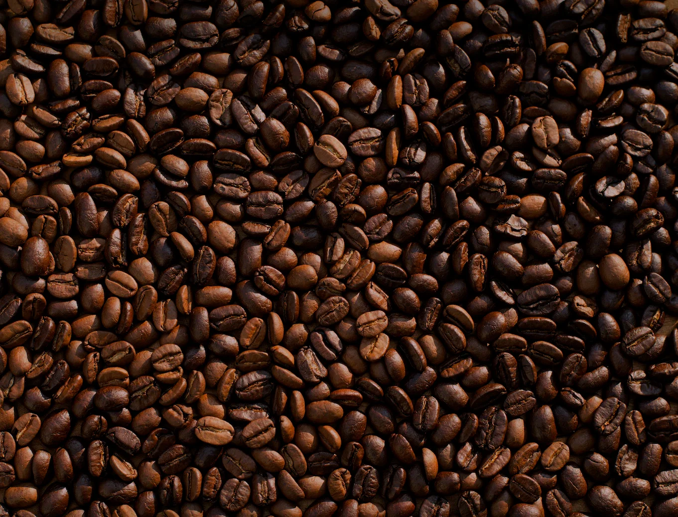 Freshly roasted coffee beans background