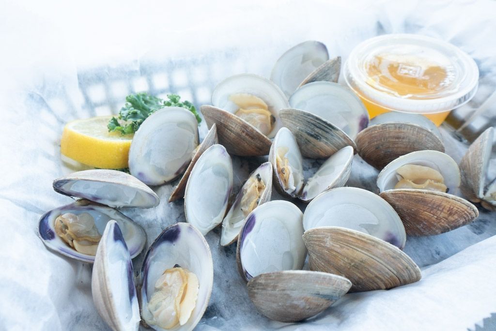 Archer Clam Pods main image 0