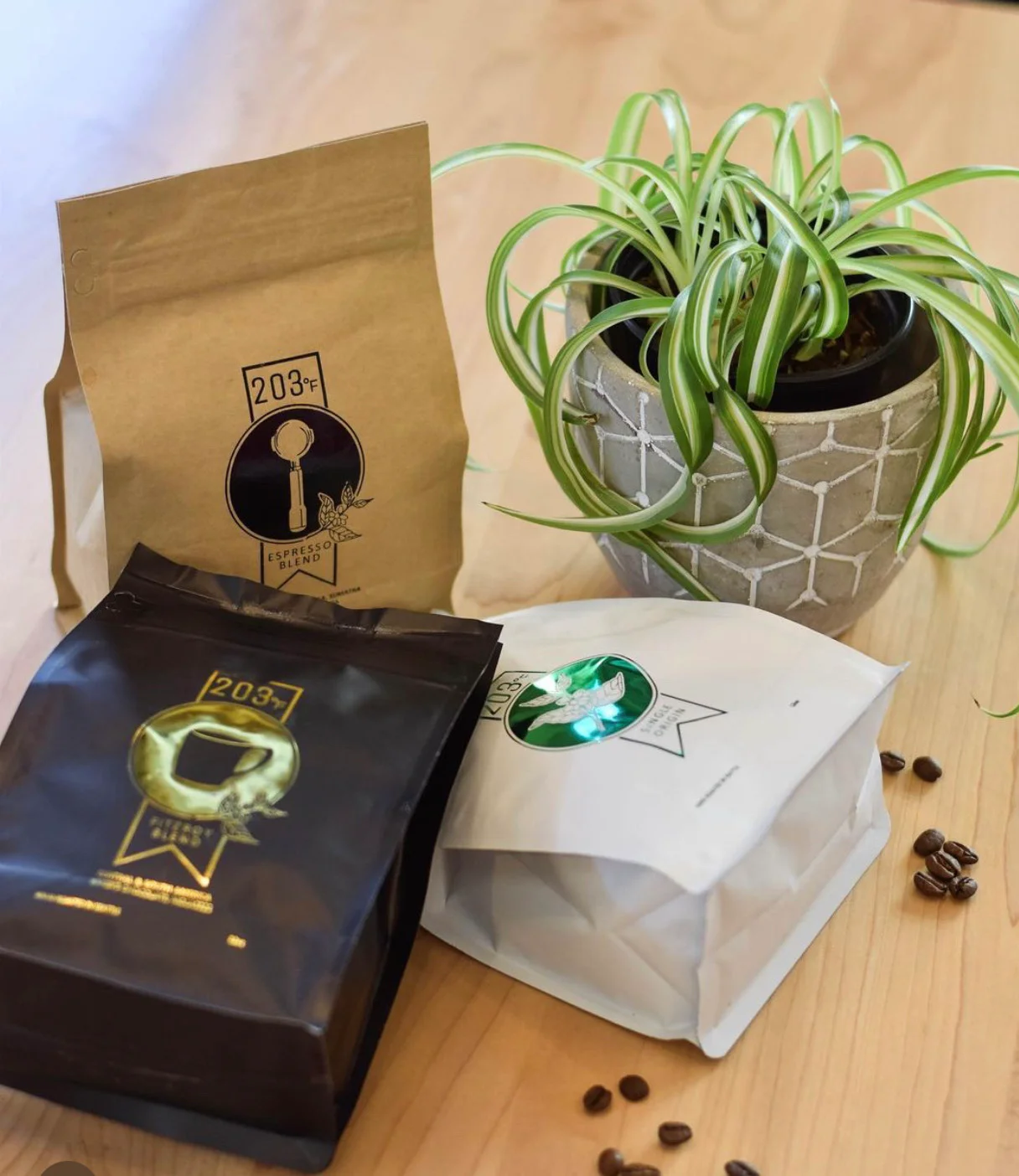 Coffee packaging with a potted plant on a wooden table