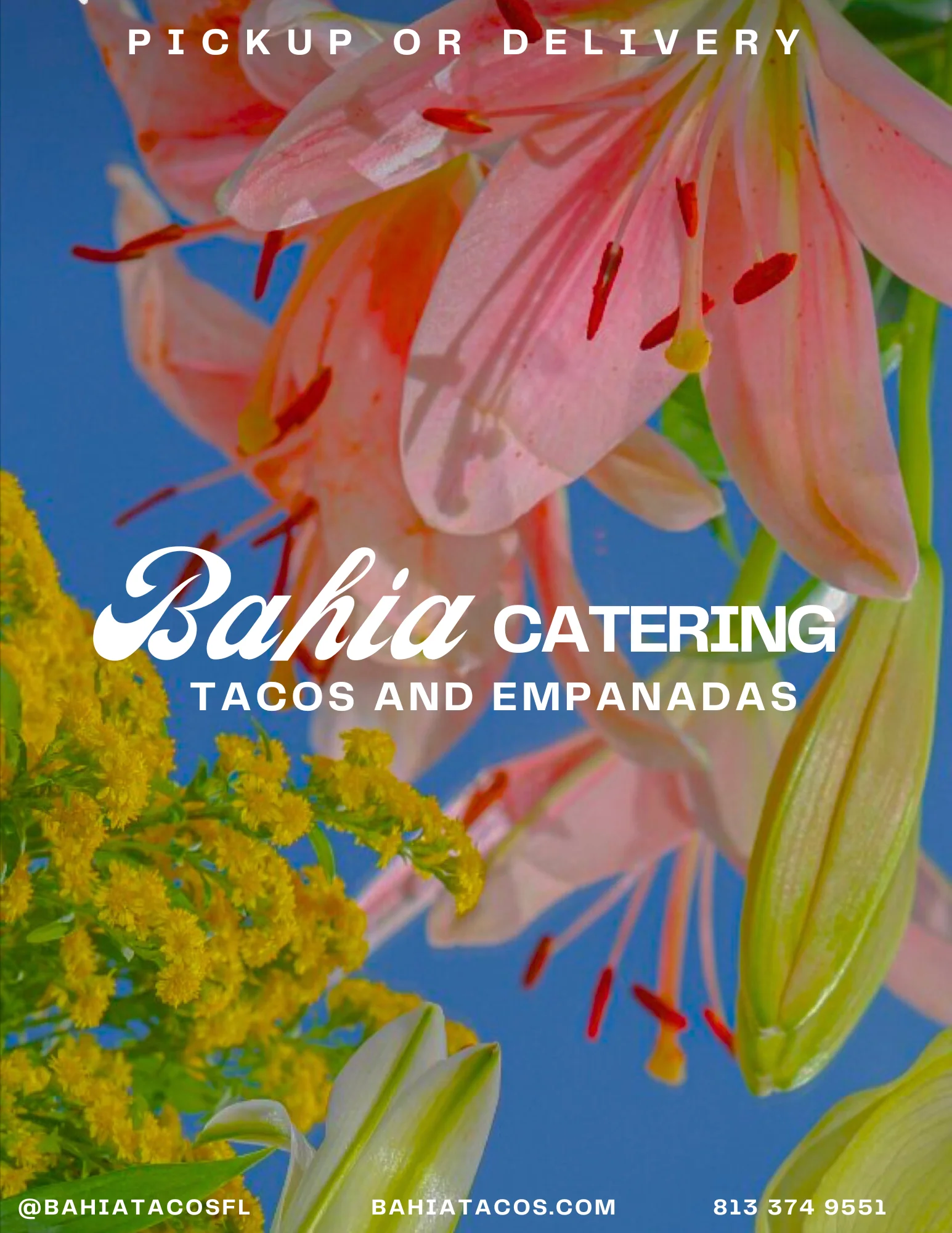 A VARIETY OF FLOWERS AGAINST A BLUE CLOUDY SKY WITH THE TITLE BAHIA CATERING