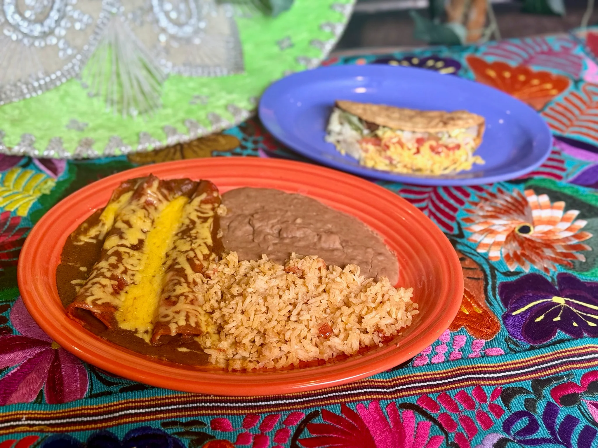 Plate of enchiladas with rice and beans, showcasing Mexican cuisine