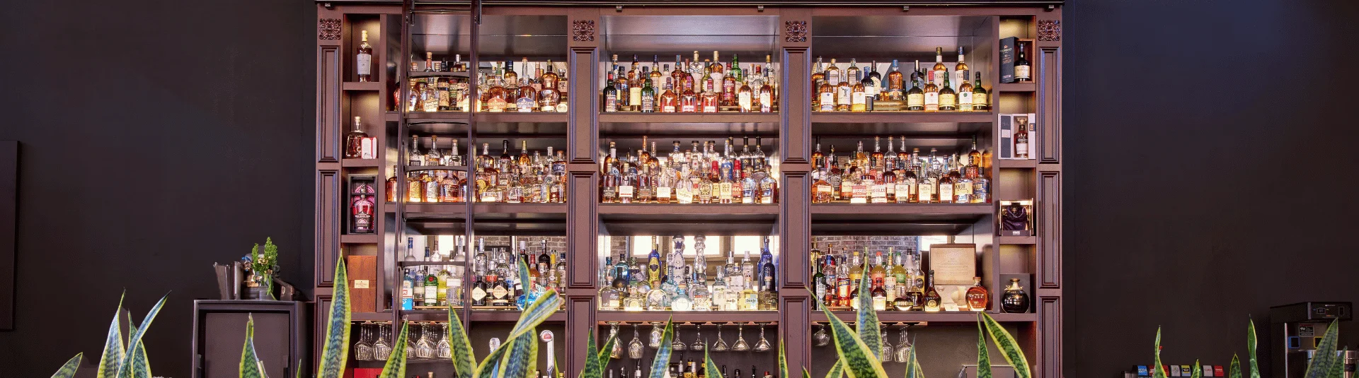 Elegant bar display with a variety of spirits and plants