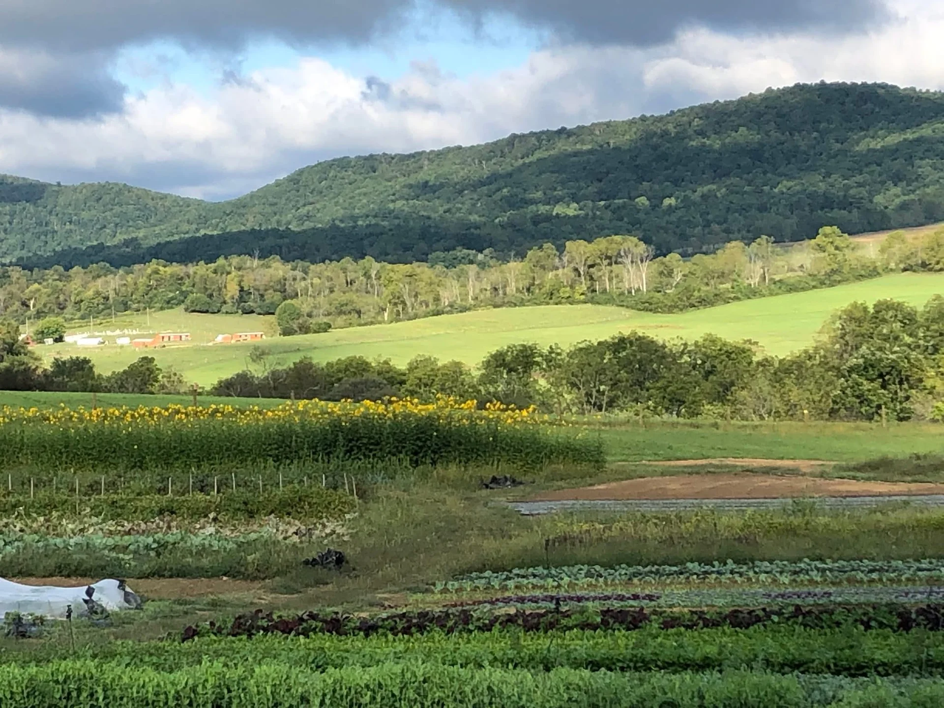 Fillmore Farm Cafe and Gardens