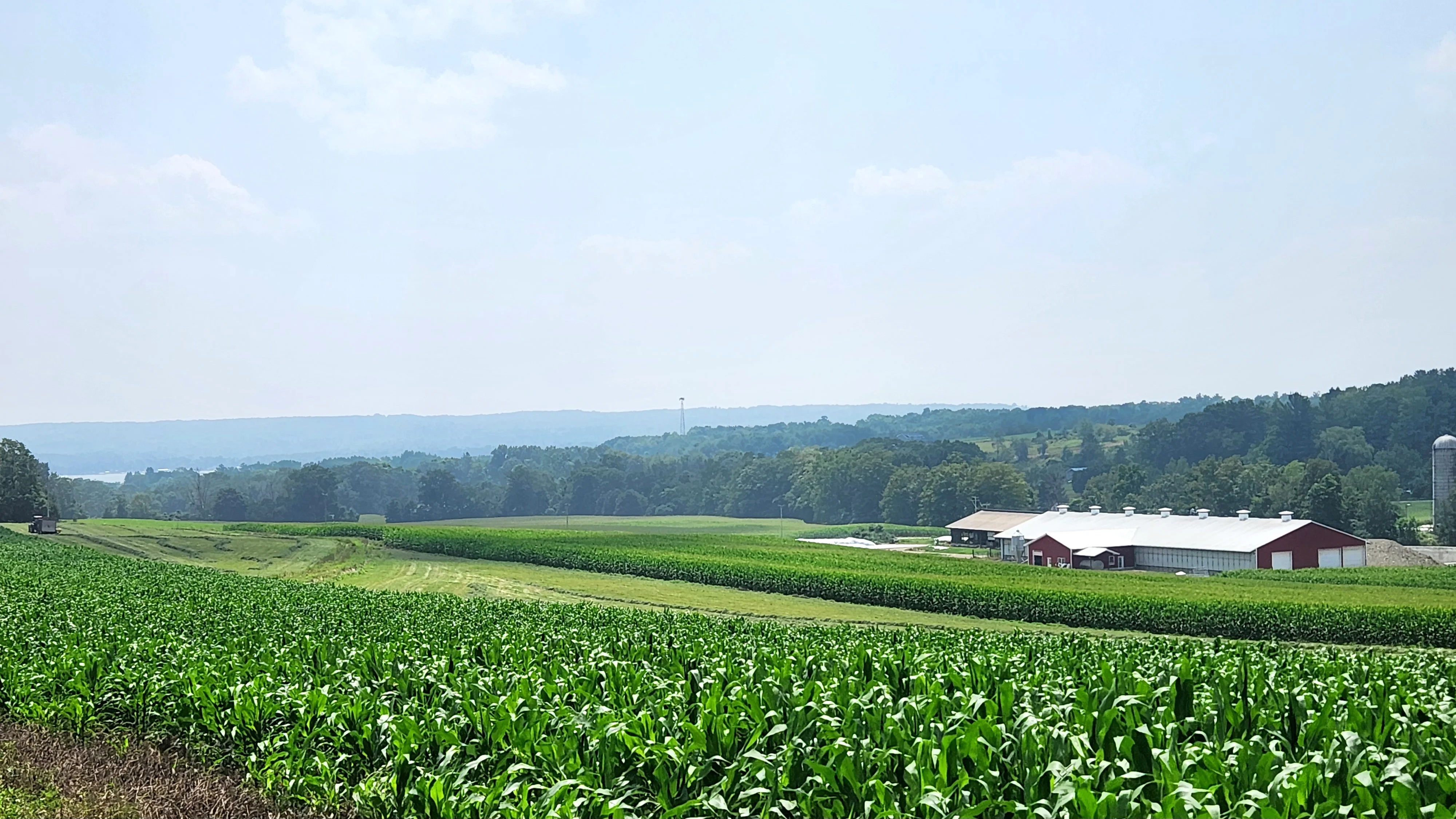A scenic view of a lush green farmland with corn fields and farm buildings in the background, set against a hazy horizon.