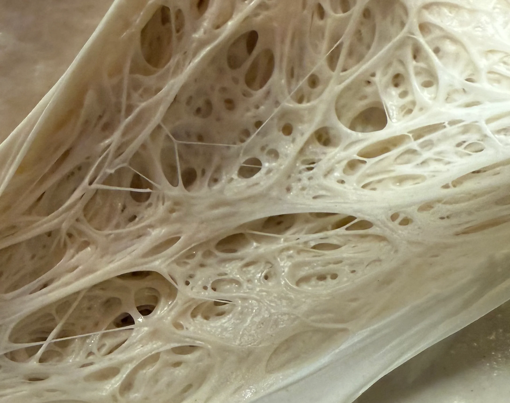 Close-up of dough showing gluten structure and texture