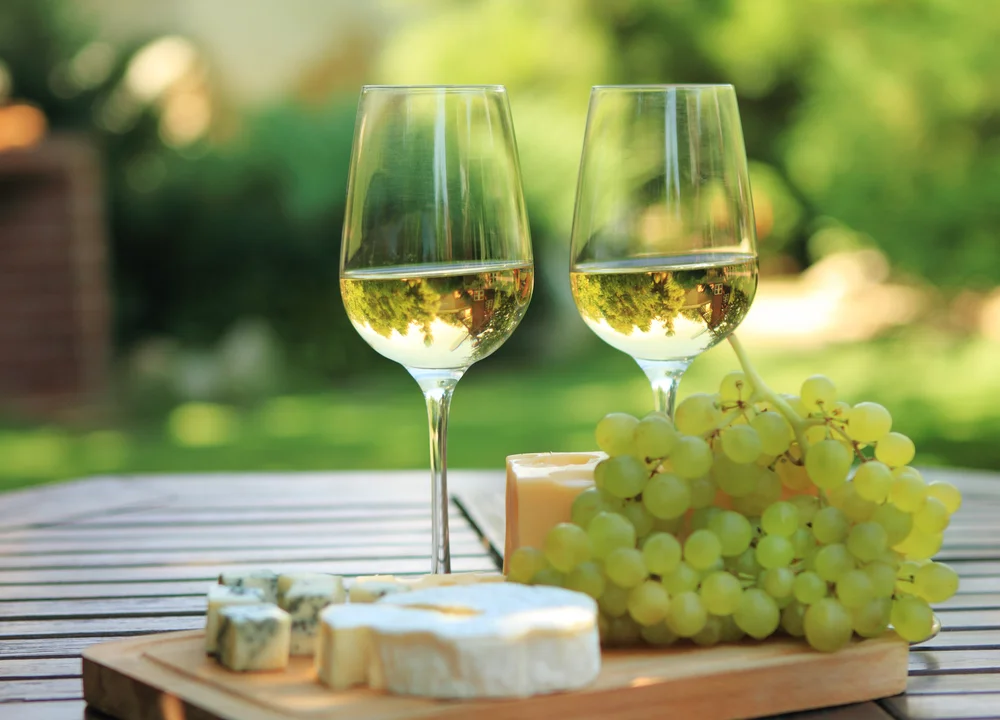 Charming outdoor wine and cheese pairing with fresh grapes