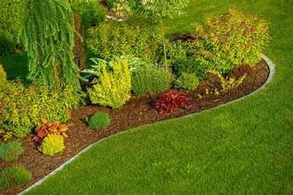 Lush garden landscape with colorful plants and mulch