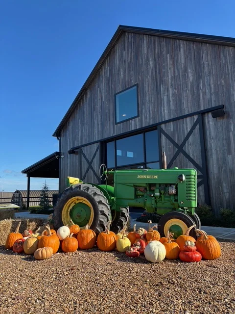 Vintage tractor with pumpkins in front of a rustic barn