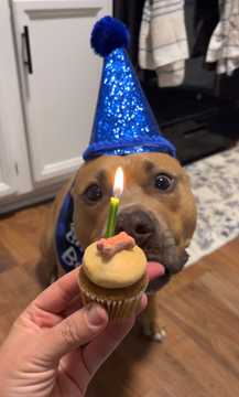 Photo from Anita F.'s review