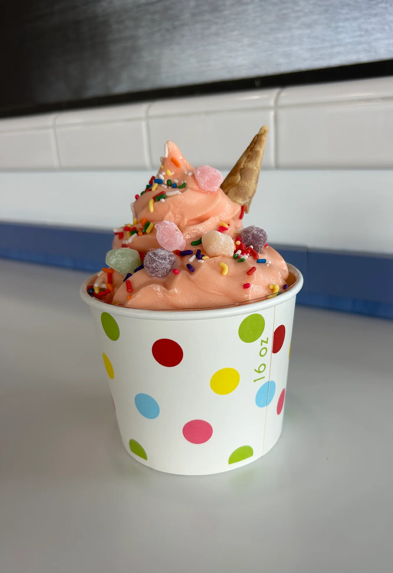 Bozeman Montana Frozen Yogurt Ice Cream